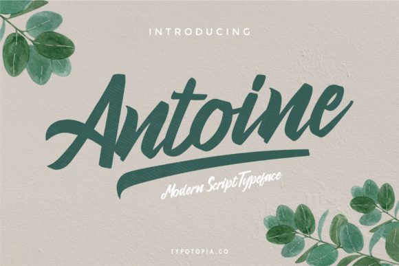 Antoine: The Stylish Script Font for Elegant Design Solutions