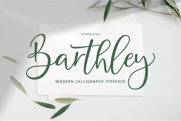 Barthley: An Elegant Script Font for Personal and Professional Projects