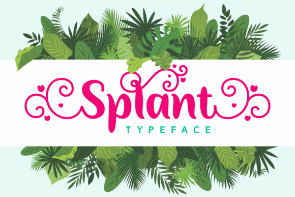 Evaluating the Splant Script Font: A Design Professional's Perspective