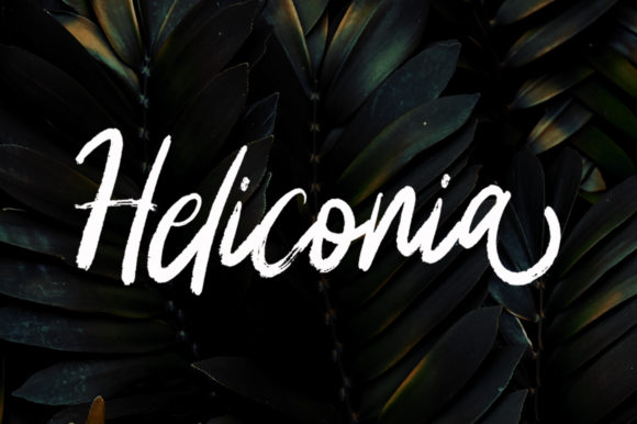 Heliconia: The Human Touch in Digital Typography