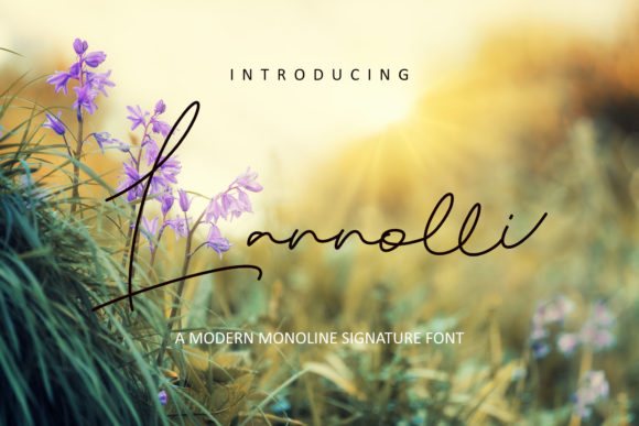 Lannolli: The Handwritten Elegance Modern Design Needs