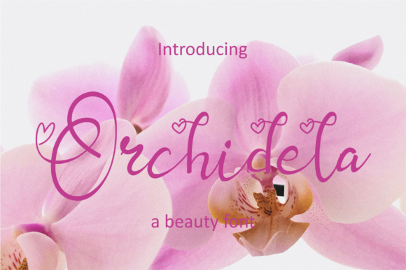 Orchidela: Integrating Elegance into Your Creative Workflow