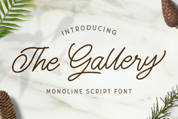 The Gallery: A Monoline Script Font That Turns Ideas into Art